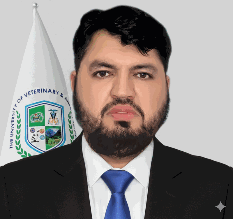 Maaz Ali Mumtaz